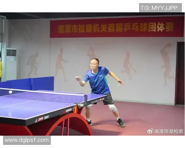 乒乓球巨献：探秘杭州乒乓球队的配合
